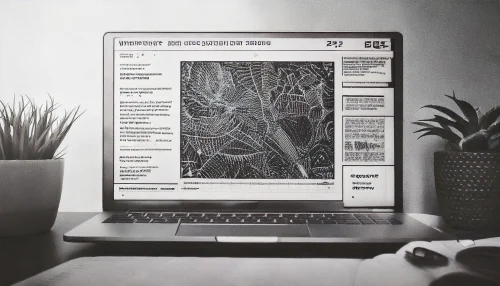 Webdesign und Webentwicklung 2026